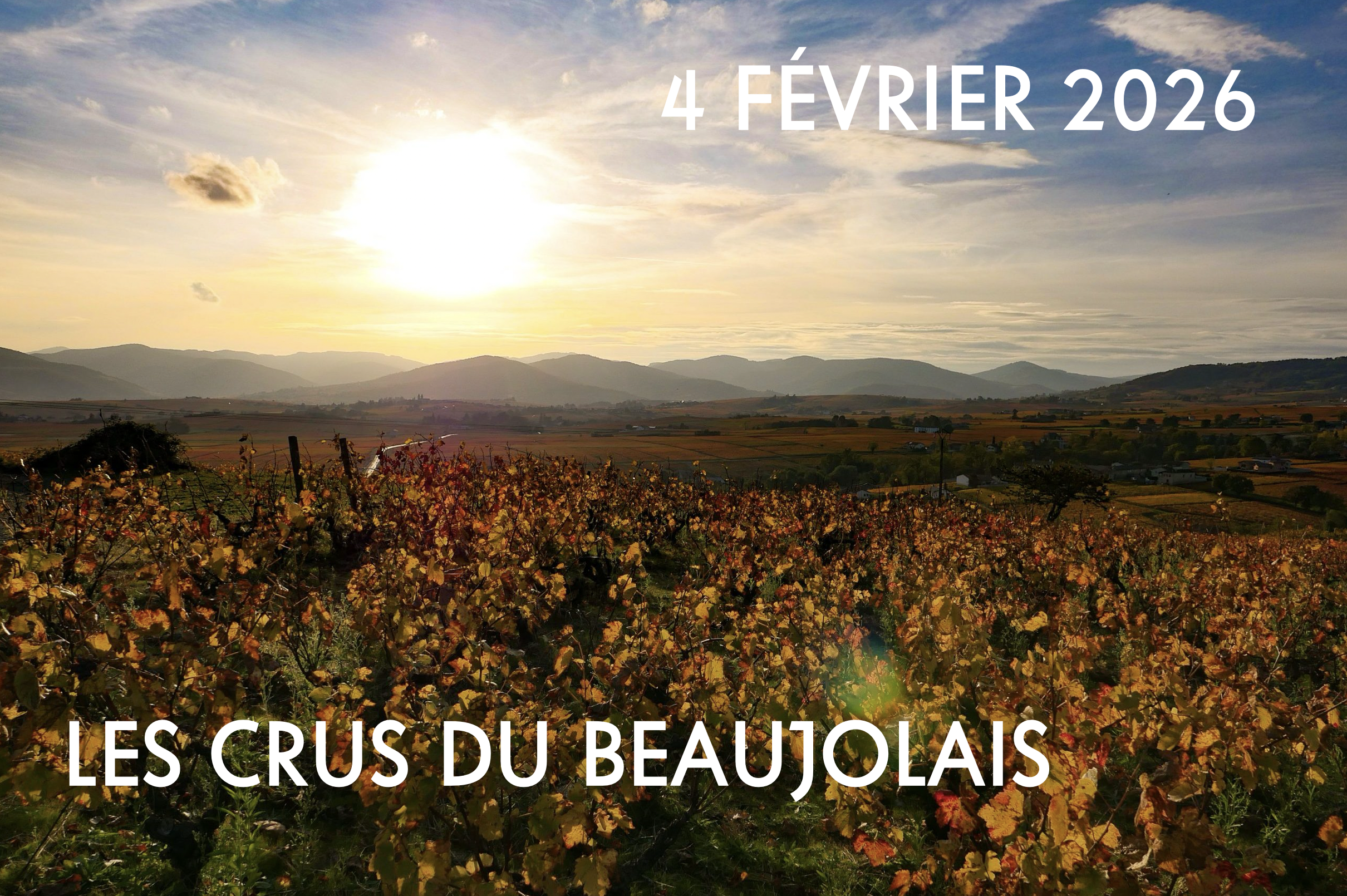 LES CRUS DU BEAUJOALIS