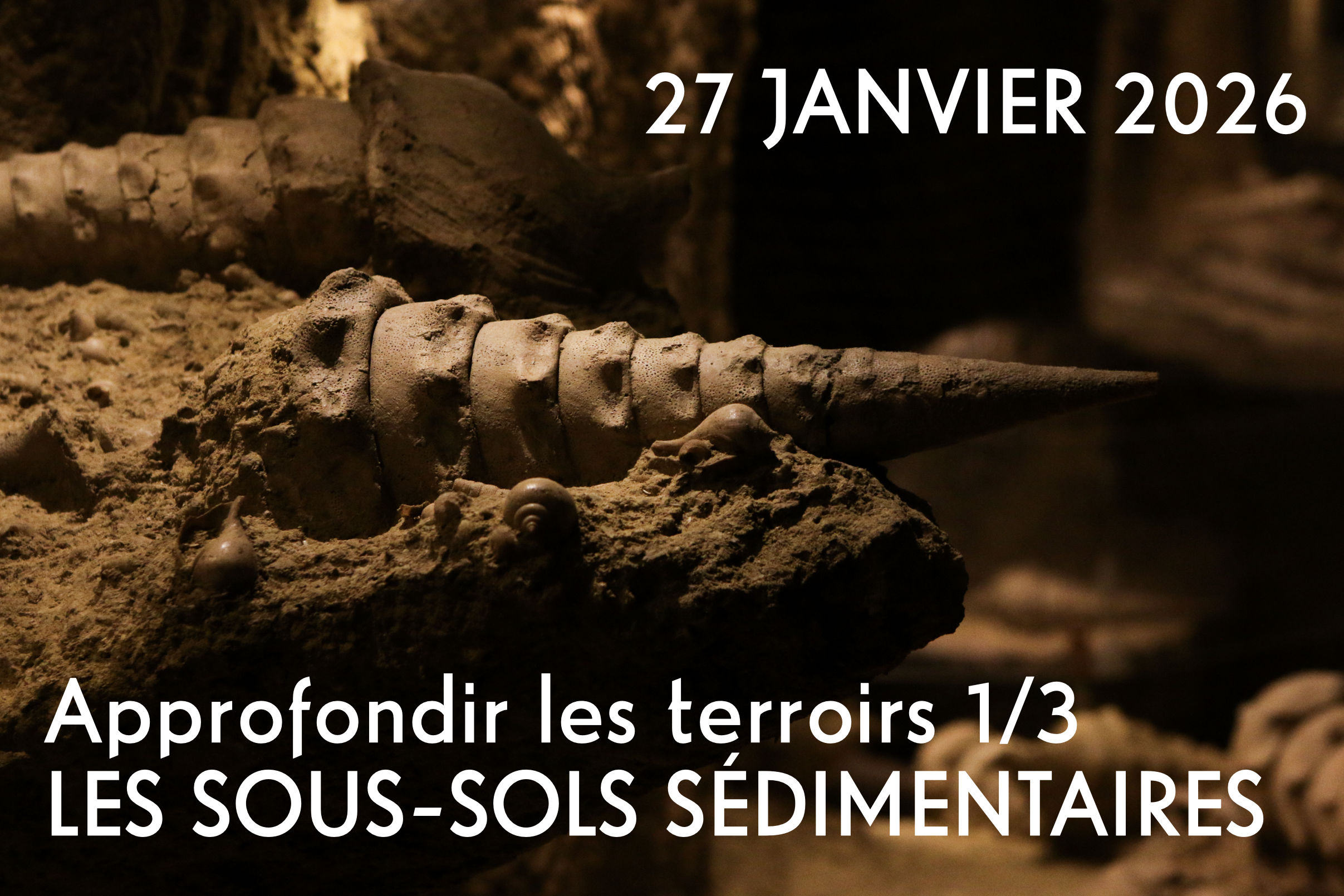 Les sous-sols sédimentaires