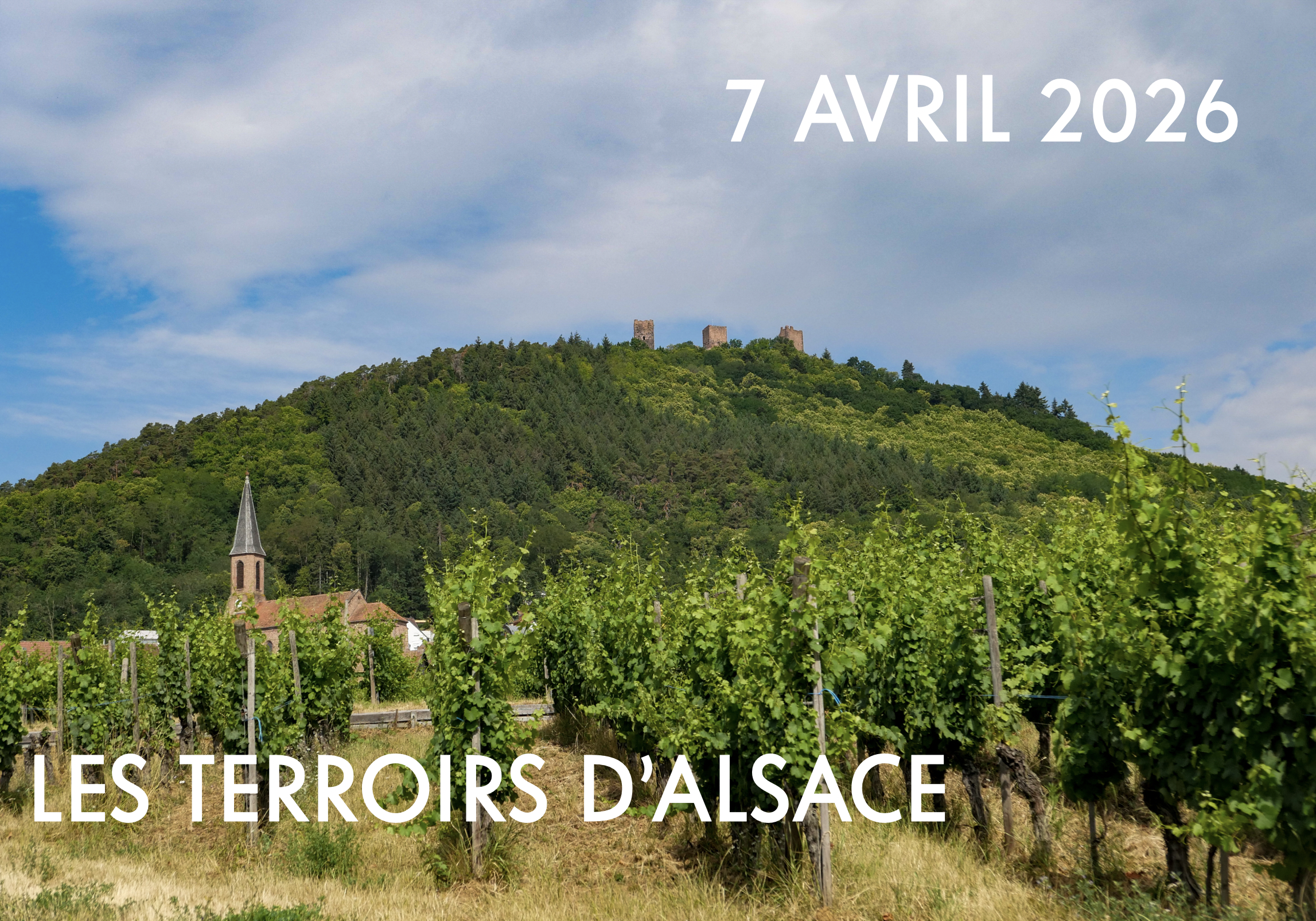 Les terroirs d'Alsace à 228 Litres