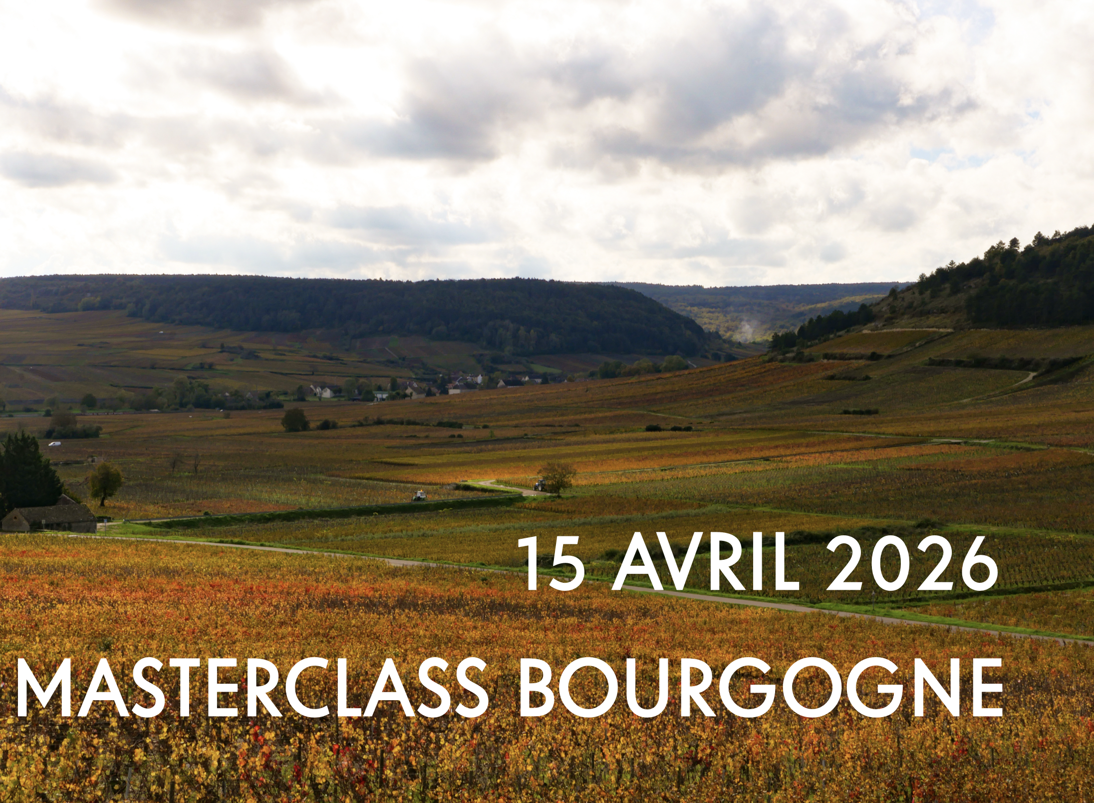 Masterclass Bourgogne 228 Litres