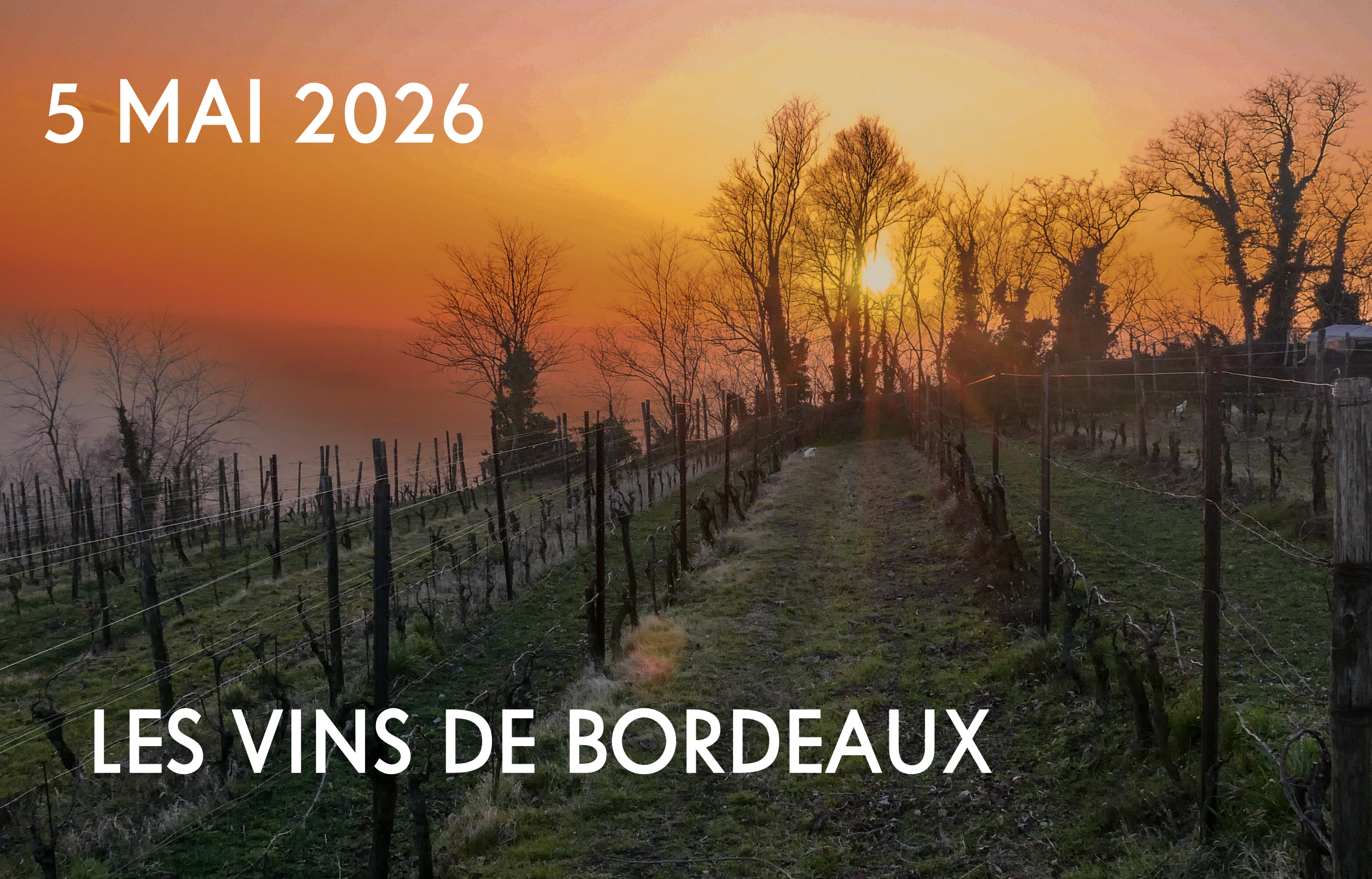 Vins de bordeaux 228 LITRES