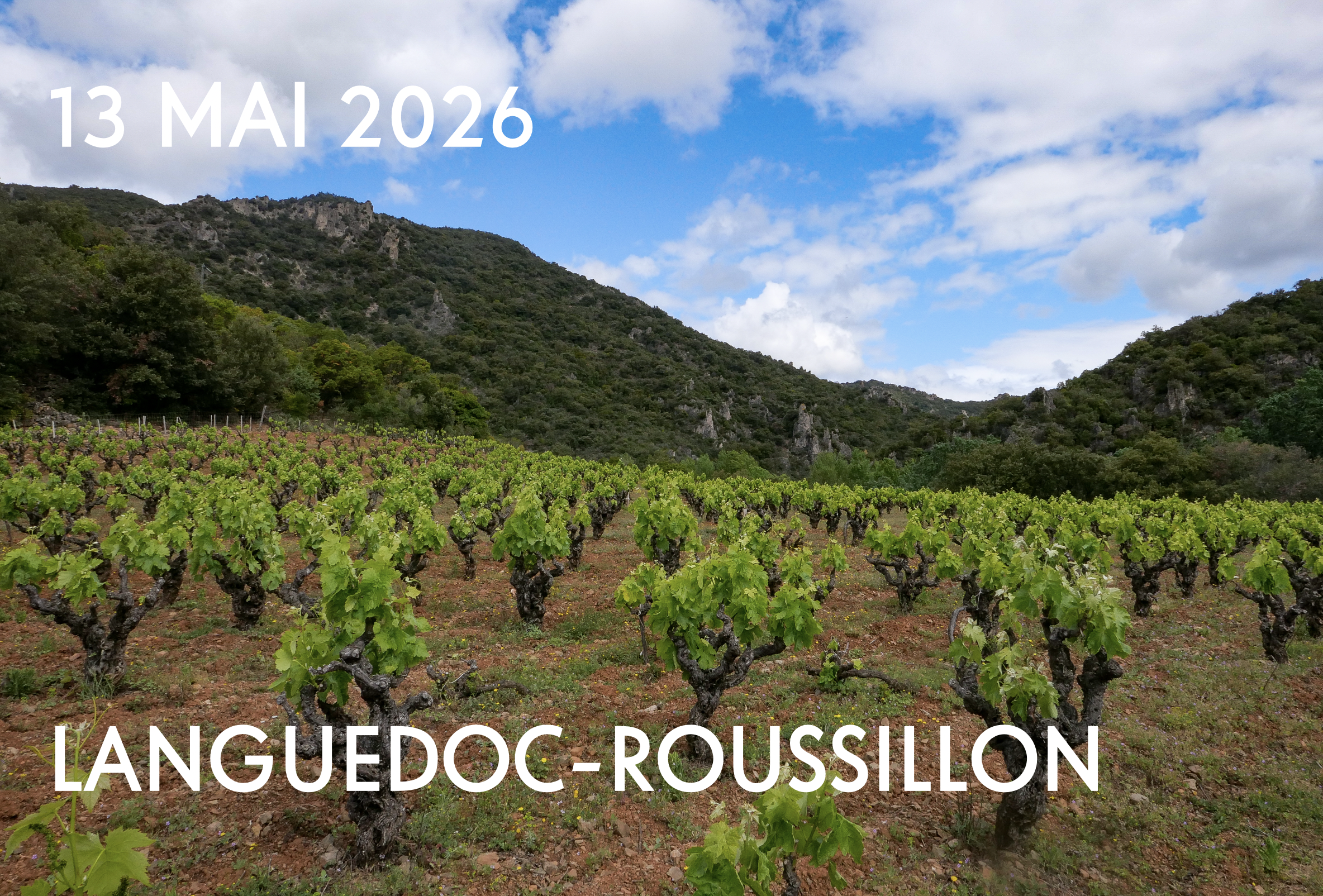 Languedoc-Roussillon 228 LITRES