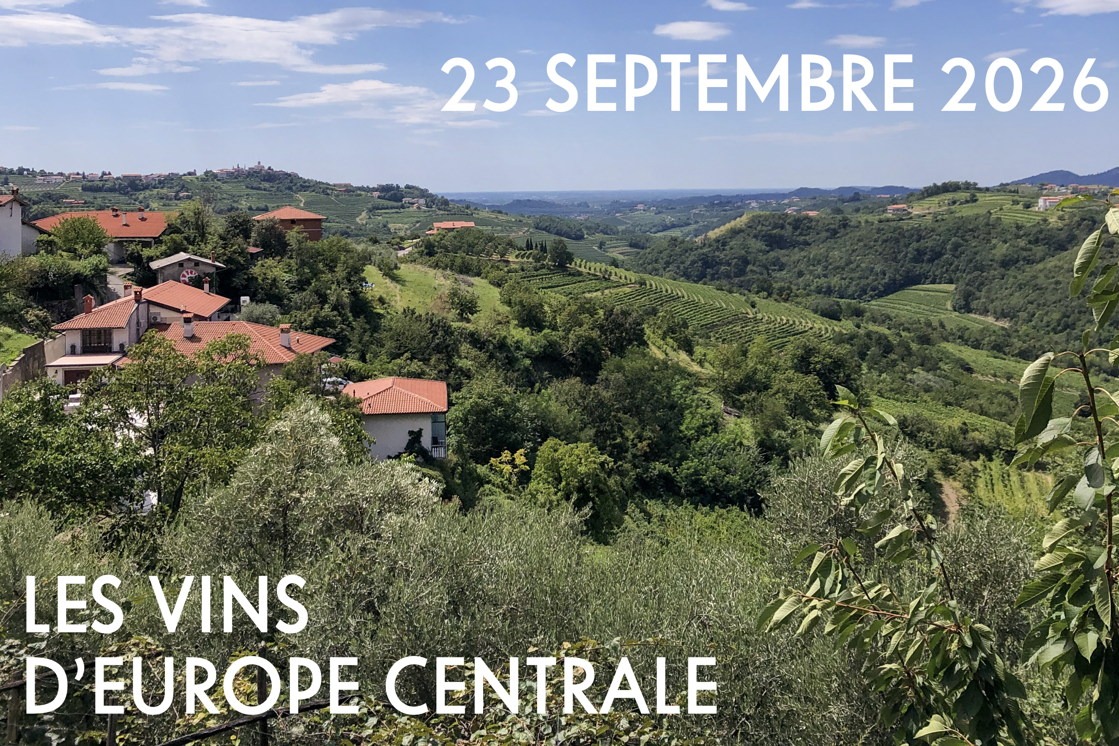 Les vins d'Europe centrale, 228 Litres, Pigalle