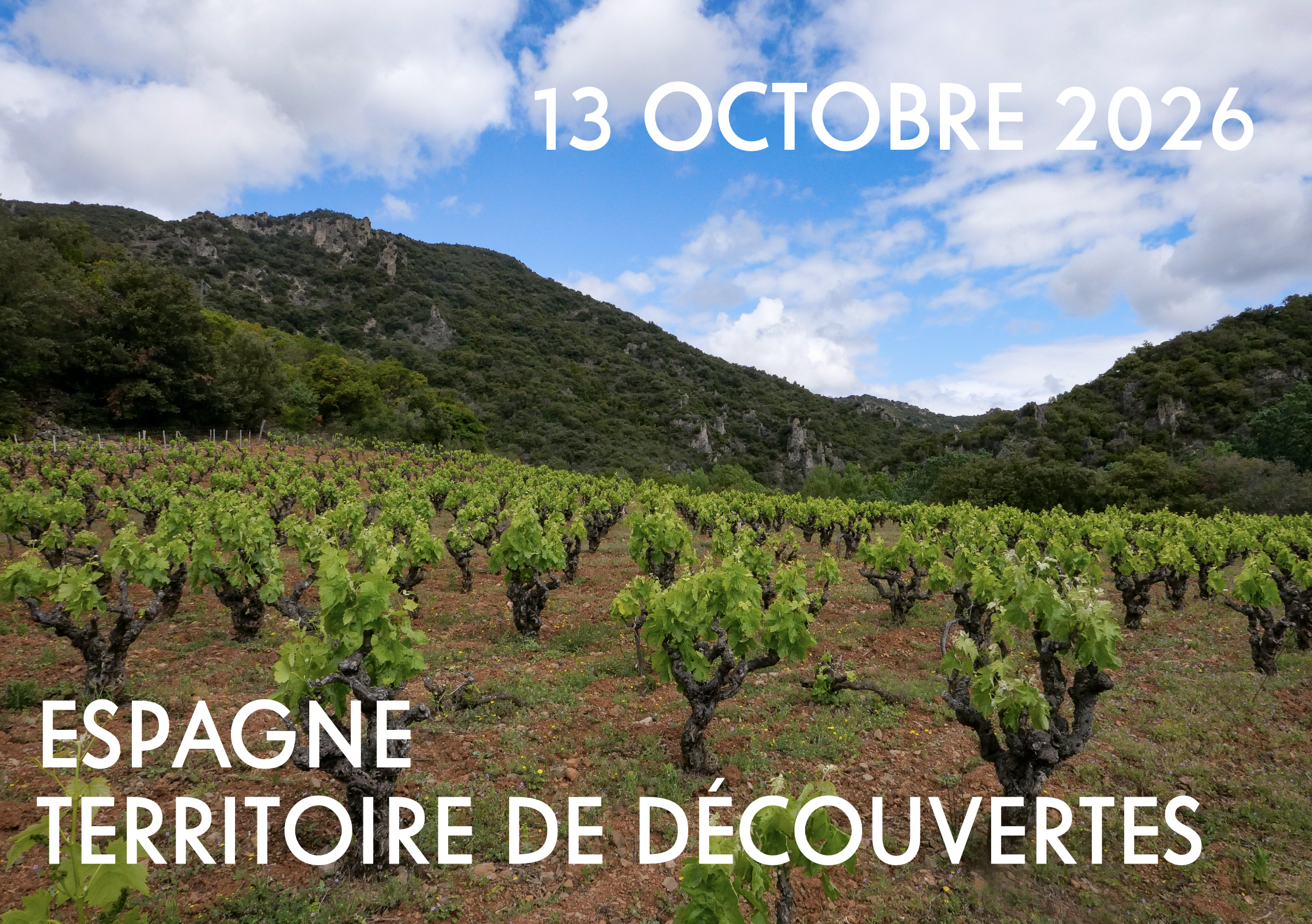 Espagne dégustation 228 Litres